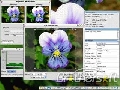 FastStone Capture 5.3