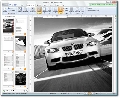 priPrinter Professional Edition 3.0.0.950 (x32/x64) Final 