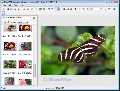 BetterJPEG 1.7.1.7