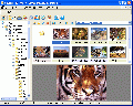 XnView Extended 2.05
