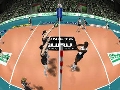 Tricky Duck Volleyball