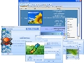 Music Organizer Pro 9.24