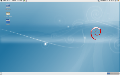 Debian GNU/Linux 5.0.4