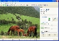 Image Resize Guide Lite 2.1.5