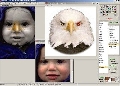 Pixopedia 24 1.0.5