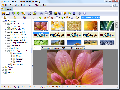 XNView Standart 2.10