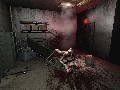 Penumbra 2007 1