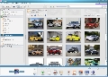 Picasa Photo Organizer 3.9.137.115