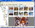 XnView Minimal 2.10