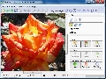 Photo Montage Guide Lite 2.1.6