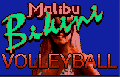 Bikini Voleyball