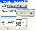 Im Translator for IE