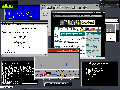Damn Small Linux 4.4.10
