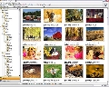 StudioLine Photo Basic 4.0.25.0