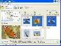 Photo Print Pilot 2.4.1