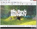 SMPlayer for Linux 0.6.9