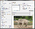 TSR Watermark Image Portable 2.8.1.1